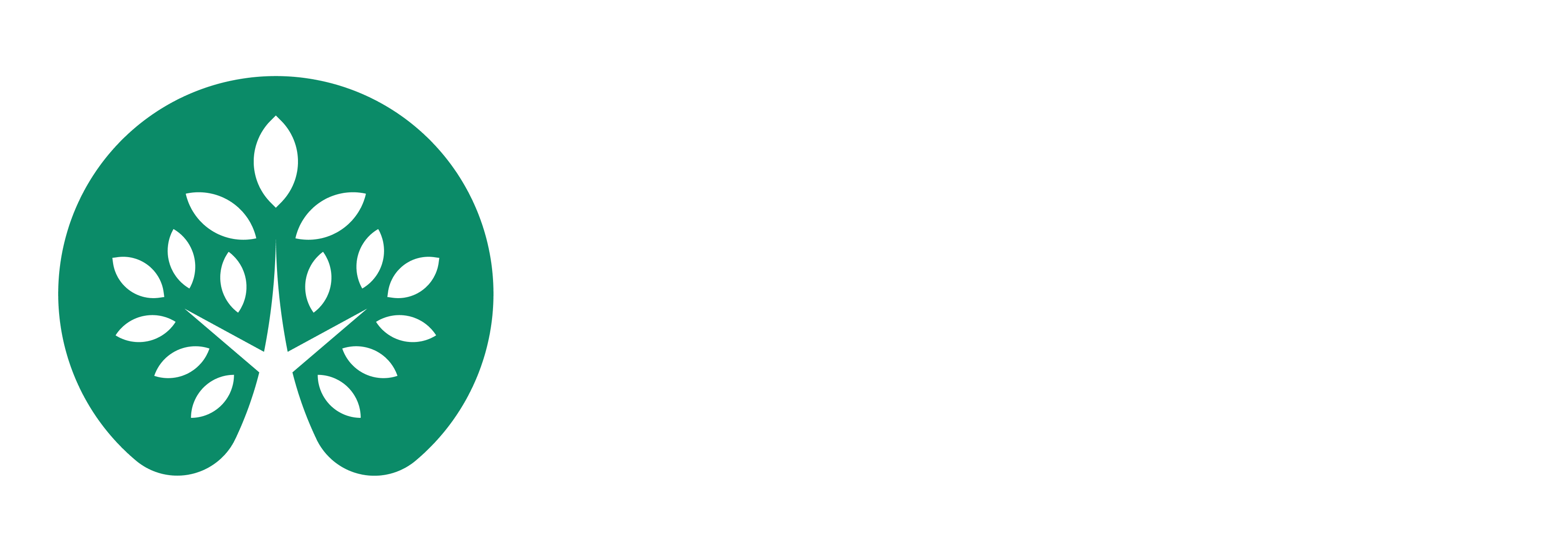 NGO Master logo
